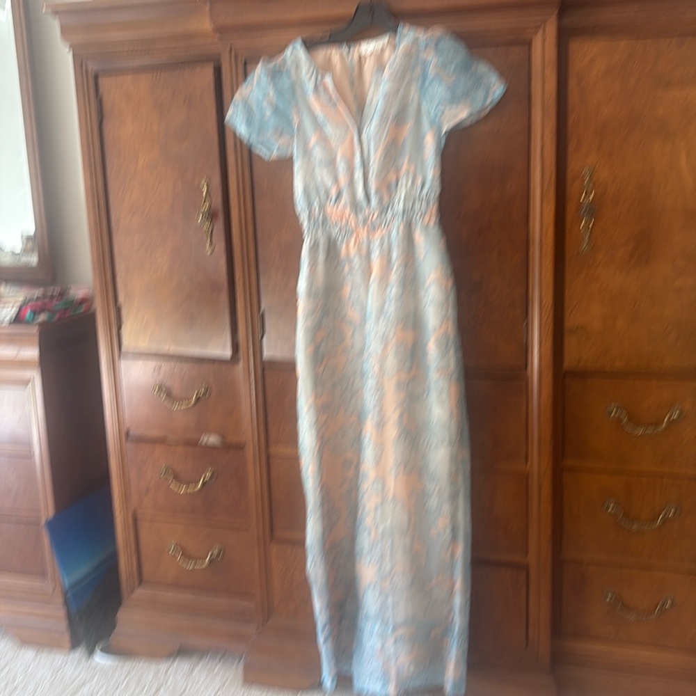 Anthropologie Sheer Blue and Tan Floral Jumpsuit